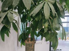 -恒伦口腔(泰享里门诊部)