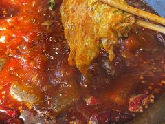 -楠火锅(哈尔滨金爵万象店)