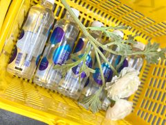 -KKV(上海月星环球港店)
