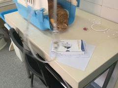 -美联众合动物医院·24h京西诊疗中心