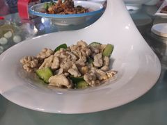 -满天星花园