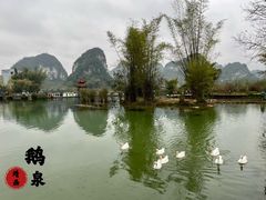 -靖西鹅泉风景区