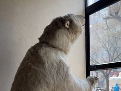 -漆黑觉米粉(三里屯店)