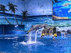 -多彩贵州城极地海洋世界