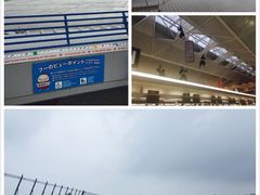 平台-中部国际机场
