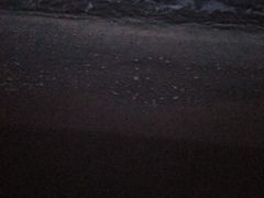 -海滨浴场