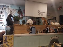-平行世界·猫咖(首经贸店)