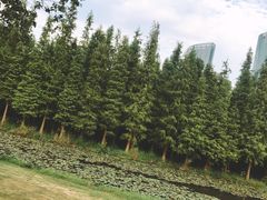 -艾溪湖湿地公园