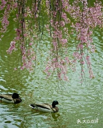 我国大部分地区平均气温已升到0℃以上