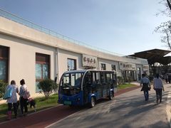 -上海长兴岛郊野公园