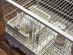 -泰康之家·锦绣府