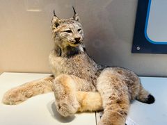 -国家自然博物馆