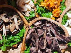 -滇野云南野生菌餐厅(陕西南路店)