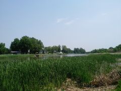 -蒲河岛湿地公园
