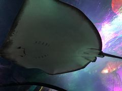 -沈阳海洋探索中心