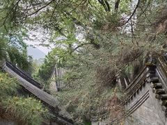 -潭柘寺景区
