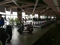 -金吉鸟健身游泳