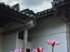 -老财炒饭·熟地蟹·冬瓜蟹