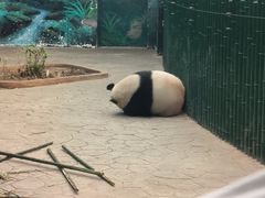 -沈阳森林动物园