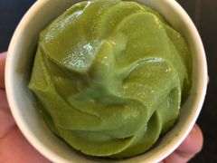 -雪绿茶博物馆