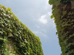 -青果巷历史文化街区
