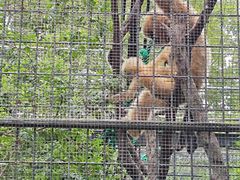 -上海动物园(地铁站)