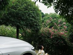 -重庆宝渝宝马