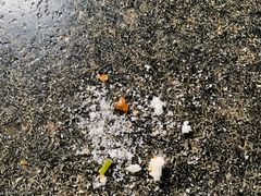 -春阳水饺(香槟广场店)