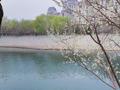 -桃花堤公园