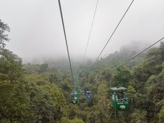 -野象谷景区