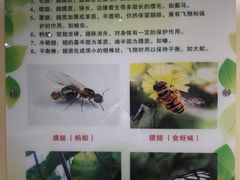 -上海昆虫博物馆