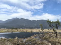 -腾冲北海湿地
