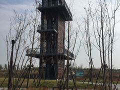 -春花秋色城市公园