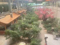 -君临七星生态酒店
