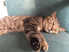 -南京夫子庙国际青年旅舍(平江府路店)