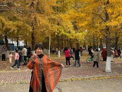 -辽宁大学(崇山校区)