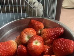 -盒马鲜生(曜一城店)