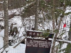 -峡谷浮石林景区