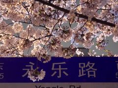 -永乐路-路侧停车场
