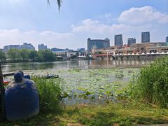 -WhaleSports户外水上运动俱乐部(朝阳公园店)