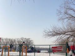 -大兴滨河森林公园