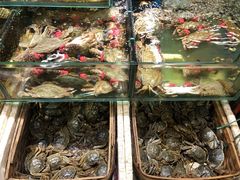 -岳各庄批发市场(西四环中路店)