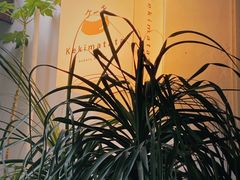-Kekimatata 生日蛋糕·烘焙教学