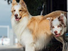 -豆舞咖啡(民乐路店)