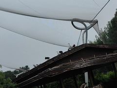 -太原动物园