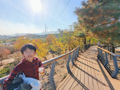 -白水寺森林公园
