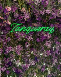 -锦江饭店·锦江小礼堂·宴会厅