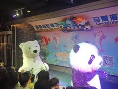 -成都浩海立方海洋公园