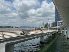 -演武大桥观景平台