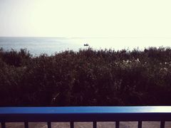 -合肥滨湖国家森林公园